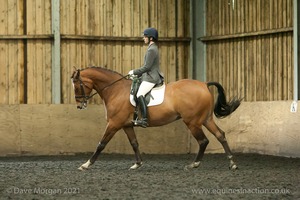 Isis Dressage Crown Farm Show 29th April 2012